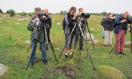 Vadarspaning p&aring; Kr&aring;kenabben. Foto: Mats Olsson